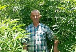 3 ayda 3 metre uzadı: Kayseri'de ekildi, inşaat malzemesinde bile kullanılıyor!