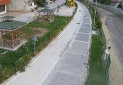 Tokat'ta feci olay: Kediye yardım etmek isterken ölüyordu!