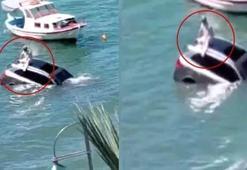 Arabayla denize uçtu, tavana çıkıp yardım bekledi!