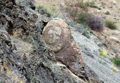 Tesadüf eseri gördü: Erzurum'da gördüğü manzarayı acil ihbar etti! 'Köstebek yuvasına çevirirler'