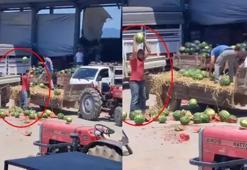 Sakarya'da karpuzları parçaladılar, milyonlarca lira ceza geliyor!