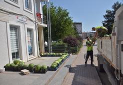 1 liraya alınıyor, 10 liraya satılıyor! Aracıların yüksek kar marjlarına kızanlar bedava dağıttı