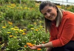 Tohumunu kayınvalidesinden aldı seri üretime geçti: Adana'da 1 yılda 16 kez ürün alıyor 'Ekiliyken satıyorum'