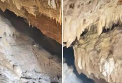 Feke'de orman yolu açılırken milyonlarca yıllık mağara keşfedildi! Doğa harikası koruma bekliyor