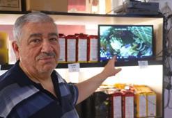 30 yıllık esnaf böylesini görmedi: Dilencinin 1 günlük hasılatı şaşırttı