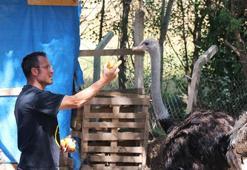 Yozgat'ta çocukluk hayalini gerçekleştiren vatandaş siparişlere yetişemiyor! Henüz çıkmamış yumurtaların bile sahibi var