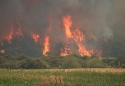 Bakanı Yumaklı açıkladı: Şarköy’deki yangında 22 kişi yangında hastanelik oldu, bin 320 kişi tahliye edildi