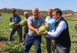 Tescilli karpuzda hasat zamanı! Tarla 1 lira markette 10 lira