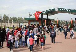 Eskişehir Büyükşehir Belediyesi Hayvanat Bahçesi yol tarifi, ücreti, bulunan hayvanlar, yorumlar