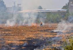 Anız yangınları toprağı ve ormanları tehdit ediyor: 'Sadece toprağa değil, vatana ihanettir'