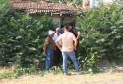 Keloğlan ve eşeğinin sırrı çözüldü! Şehrin diline dolandı, yaşadıkları yer ortaya çıktı