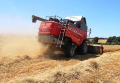 Kızılırmak ve Yeşilırmak kıyılarından dünyaya lezzet yağıyor!