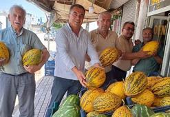 Araban baklavasında hasat başladı! 10 liradan satışta