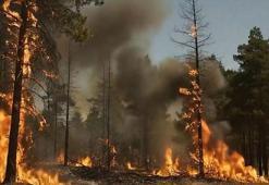 Bakan Yumaklı’dan orman yangınlarına karşı sıcaklık uyarısı: En üst düzeyde duyarlılık gösterilmesini önemle rica ediyoruz