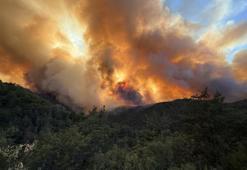 Sakarya’daki orman yangınına müdahale sürüyor! Bir mahalle tahliye ediliyor