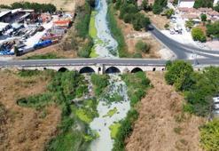 Lüleburgaz'da yaz çilesi başladı! Buradan geçen nefes alamıyor