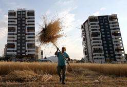 Kayserili astsubay emekli oldu ata mirasına sahip çıktı! Apartmanların arasında köy hayatı yaşıyor