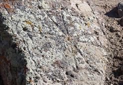 Mezarın içinden işaretli çıktı: Van'da kale kazısında böylesi görülmedi! Jandarma elleriyle temizledi