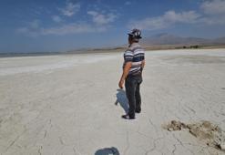 Burası İtalya değil Bitlis! Yüzlerce çeşidi Adilcevaz'da görüldü