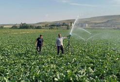 Karslı çiftçinin tek derdi çocuklarını okutmak! Bunun için yıllardır her gün sabahın köründe tarlaya gidiyor