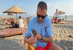 Nesli tükenme tehlikesi altında: Sahilde ölmek üzereyken buldu, hayata döndürdü!