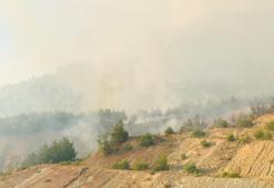 Kabus sürüyor! Tarihi İpek Yolu yanıyor