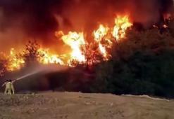 Sakarya yangınından nefes kesen anlar: Alevlerin içinde böyle görüntülendi