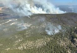 Eskişehir'de orman yangını! Havadan ve karadan müdahale ediliyor