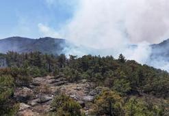 Eskişehir'de korkulan oldu! Yangın paniği, bazı bölgelerde yeniden başladı