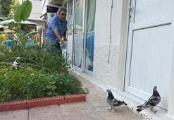 İşlettiği otelin bahçesini hayvan cennetine çevirdi!