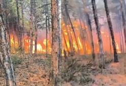 Eskişehir'deki yangında alevler arasında kalan ormancıların görüntüleri ortaya çıktı! 'Müdürüm buraya geliyor'