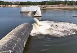 Edirne'de başlatıldı: İhtiyaç bir anda kat kat arttı! Bu yöntem üreticiye çözüm olmadı