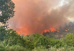 Eskişehir'de orman yangını faciası! 10 orman işçisi şehit oldu