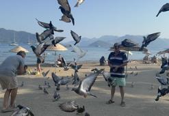 Marmaris halk plajının zarif müdavimleri: Vatandaşlar ilgiye boğdu
