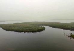 Dünyada eşi benzeri yok! Rize'deki yüzen adalar resmen 'haber' veriyor, sadece bilen anlıyor