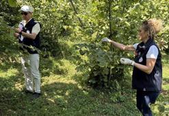 Samsun'da köylüler isyan edince bakanlık yeni karar aldı! 15 gün süresi var, sakın yapmayın