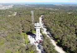 Orman Genel Müdürlüğü personel alımı var mı? Başvuru şartları neler?