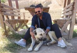 Anadolu aslanı olarak biliniyor: İri cüsselerinin yanında merhametiyle de hayran bırakıyor!