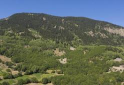 Sivas'ta harekete geçildi! Valilik kararı açıkladı, artık yasaklandı