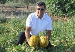 Sadece Manisa'da yetişiyor, Avrupa Birliği resmen onayladı!