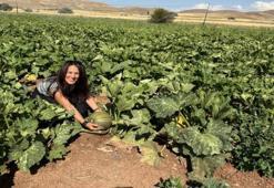 100 dekarda Erzincanlılar zengin oluyor: Tüm köylü üretince kontroller başladı