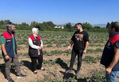 Üniversiteli çiftçi 25 dekar arazide üretime başladı! Yeni nesil tarım uygulamaları dikkat çekiyor