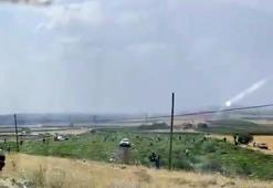 Mardin’de karpuz tarlası sahibi karşılaştığı görüntü karşısında şoke oldu