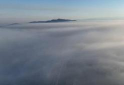 Bursa'daki orman yangını üçüncü gününde! Dumandan göz gözü görmüyor