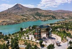 Konya'da piknikçiler fark etti! Her biri 10 kilo tartıldı: Hareketliliği gören oraya koştu