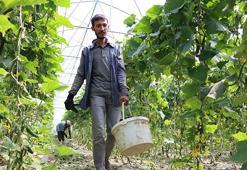 Genç girişimci Erzincan'a döndü, devlet desteğini aldı! Şimdi her yıl tonlarca ürün hasat edip satıyor