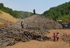Muş'ta ekmek parası için zorlu mesai! Bir yandan güneş bir yandan ateş kavuruyor; Üstelik çadırda yaşıyorlar