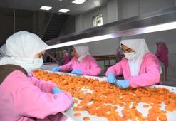 Türk ekonomisine büyük fayda sağlıyor! Ortalama 7 dolardan satılıyor