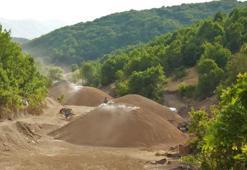 Muş dağlarında 6 ay süren zorlu mesai: 12 aile 50 ton üretiyor!