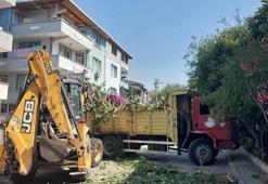 Kocaeli'de harekete geçildi! Bitkisel atıklardan yapılıyor